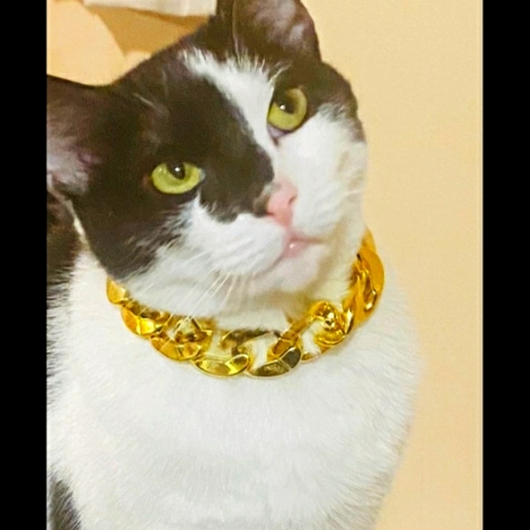 🎉HP🎉Cat Necklaces/ Collars - Picture 2 of 9